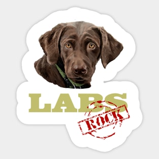 Chocolate Labs Rock! Sticker